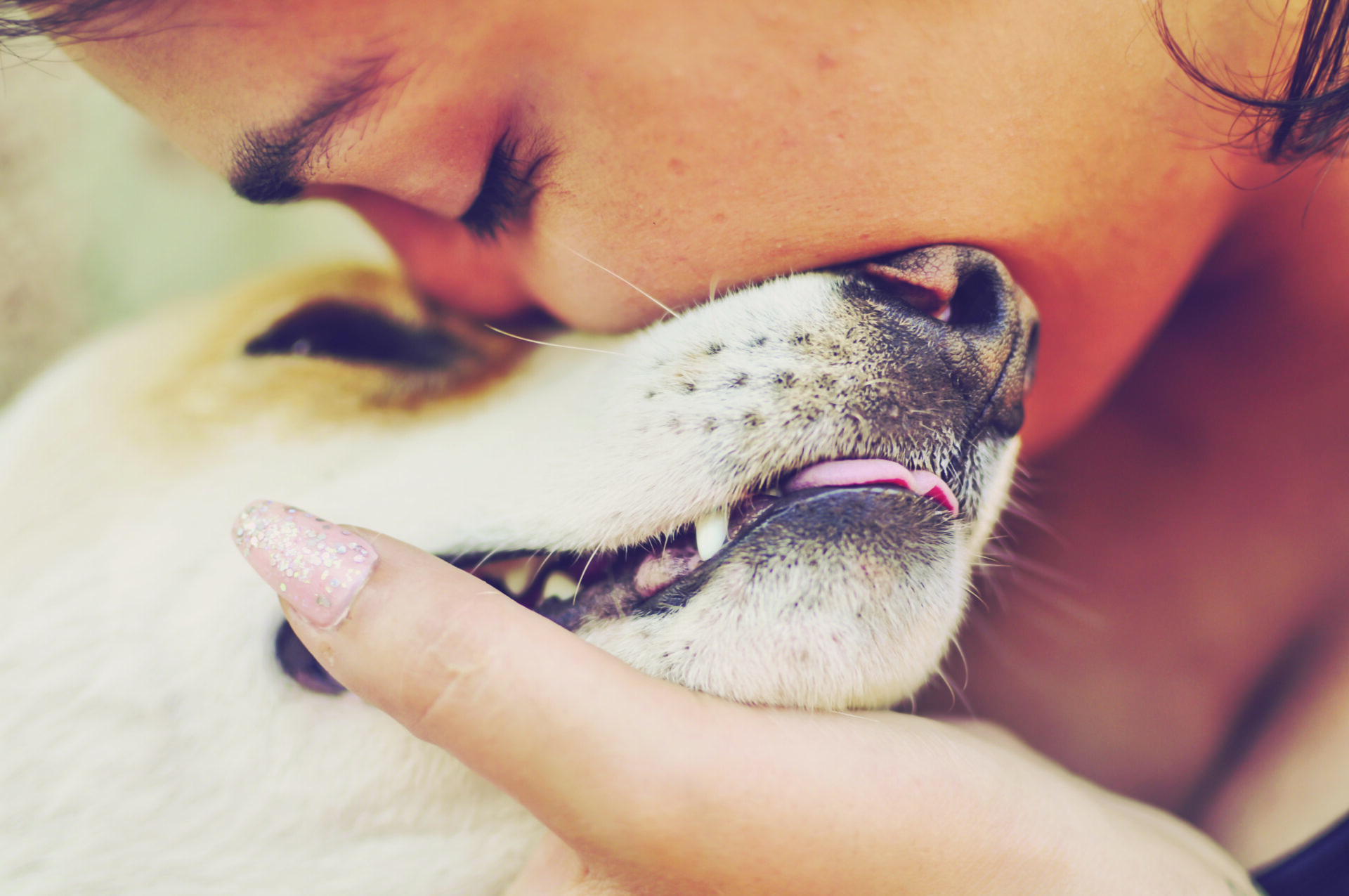 woman kissing dog on the nose